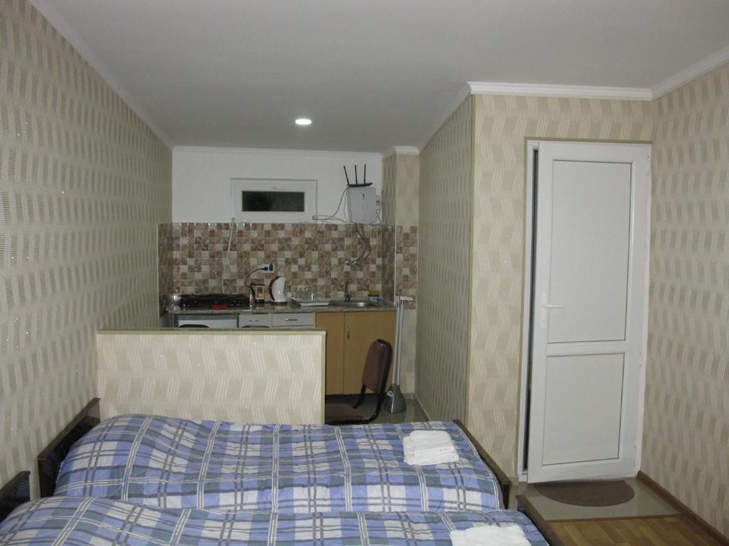 Гостевой дом Apartment David Тбилиси-53