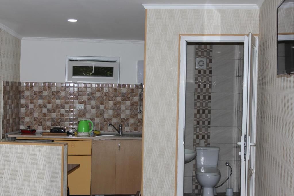 Гостевой дом Apartment David Тбилиси-58