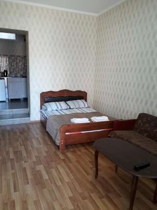 Гостевой дом Apartment David Тбилиси Двухместный номер с 1 кроватью и собственной ванной комнатой-7