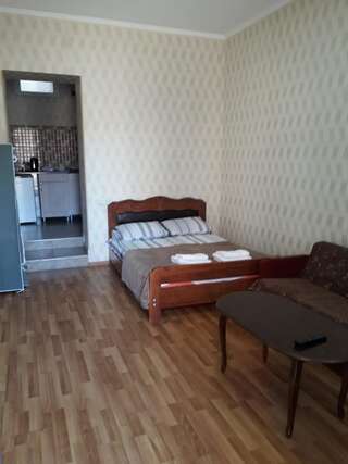 Гостевой дом Apartment David Тбилиси Двухместный номер с 1 кроватью и собственной ванной комнатой-9