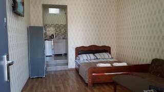Гостевой дом Apartment David Тбилиси Двухместный номер с 1 кроватью и собственной ванной комнатой-17
